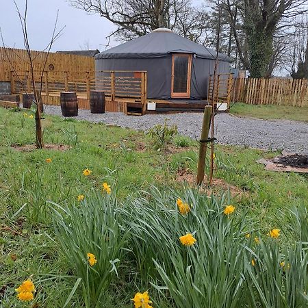 The Snowdrop Galway Exterior foto